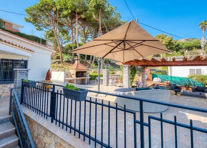 Costacabana - Palmera